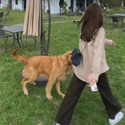 恶童